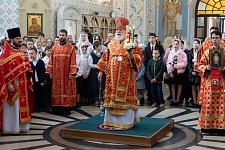 Празднование иконы Божией Матери "Живоносный Источник"