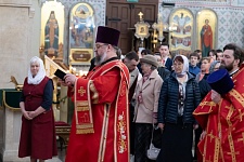 Празднование иконы Божией Матери "Живоносный Источник"