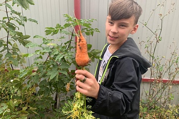 Собственный огород и теплица