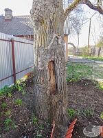 Паломническая поездка в Оптину Пустынь