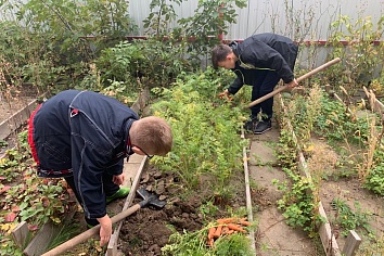 Собственный огород и теплица