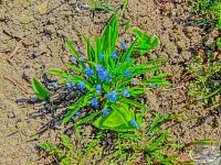 Паломническая поездка в Оптину Пустынь