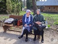 Паломническая поездка в Оптину Пустынь