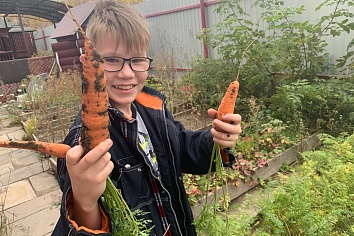 Собственный огород и теплица