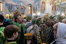 Вход Господень в Иерусалим